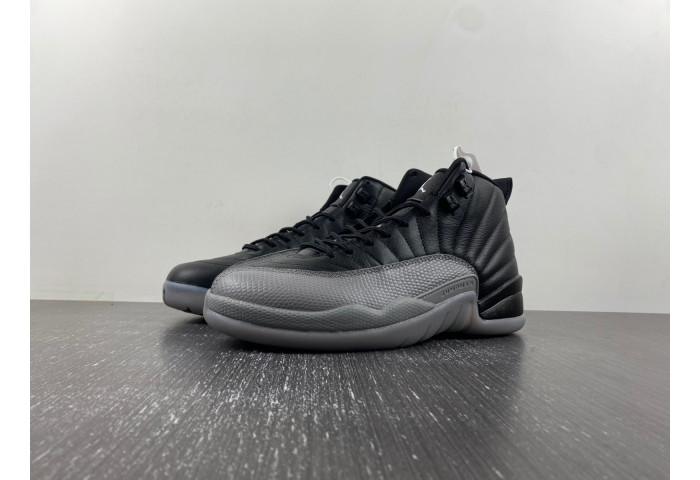 Air Jordan 12 RETRO CT8013-019