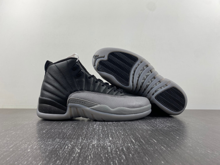 Air Jordan 12 RETRO CT8013-019