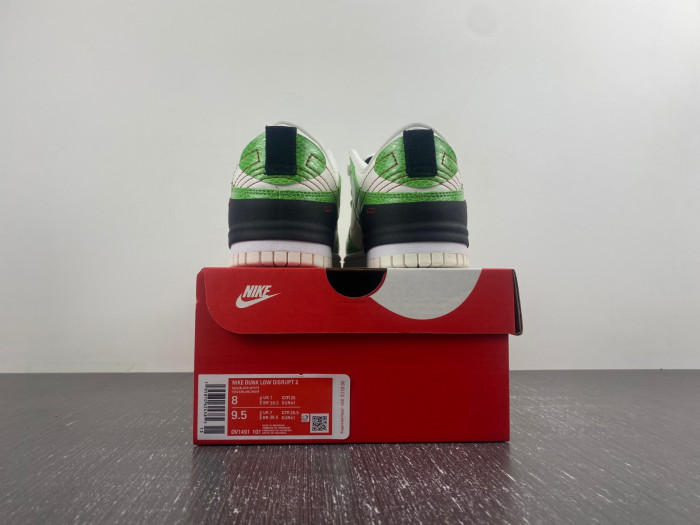 Nike Dunk Low Disrupt 2 DV1491-101
