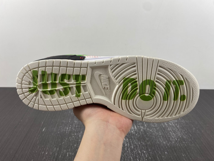 Nike Dunk Low Disrupt 2 DV1491-101