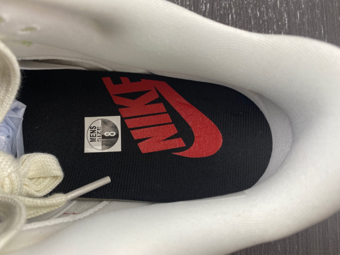 Nike Dunk Low Disrupt 2 DV1491-101